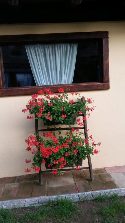 B&B Il Salice Veruno Kültér fotó