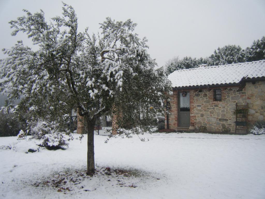 B&B Il Salice Veruno Kültér fotó
